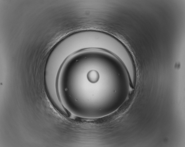 X0000116350577200912151354