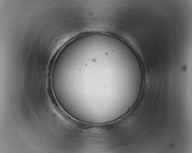 X0000116350578200912151354