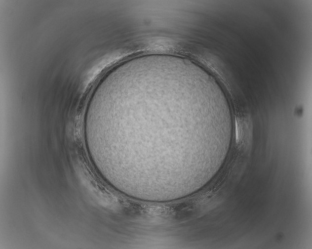 X0000116350579200912151354