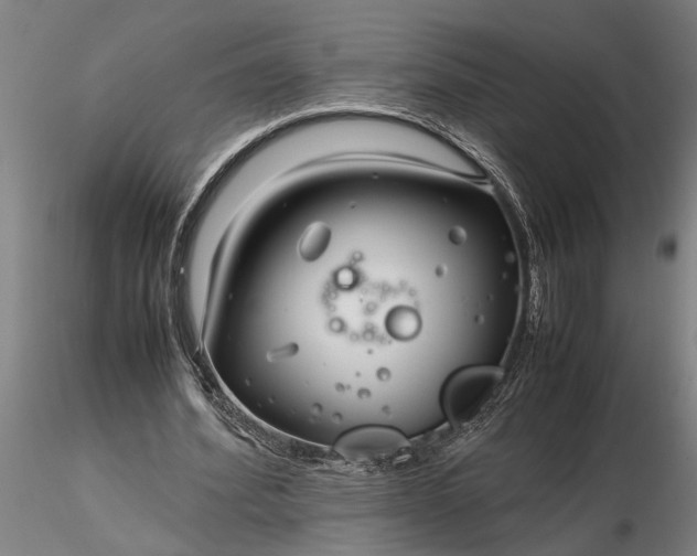 X0000116350580200912151353