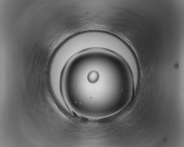 X0000116350581200912151353