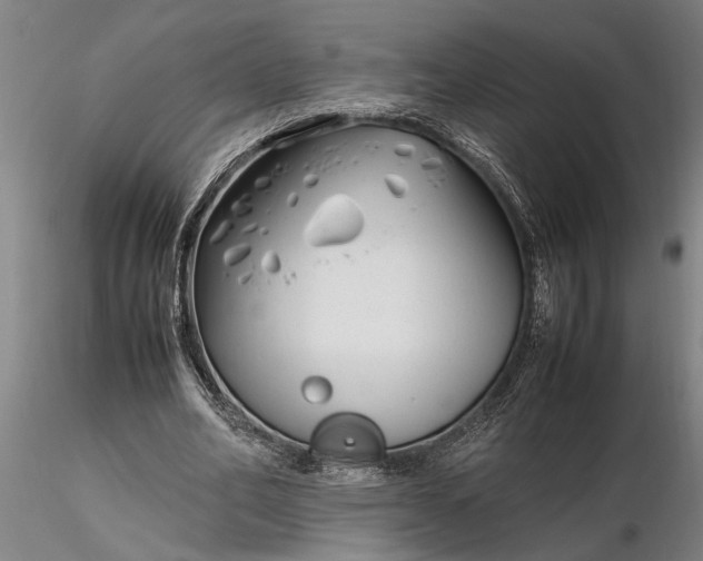 X0000116350582200912151353