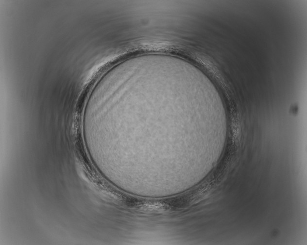 X0000116350583200912151353