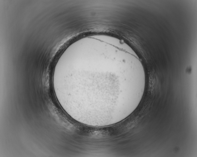 X0000116350584200912151353