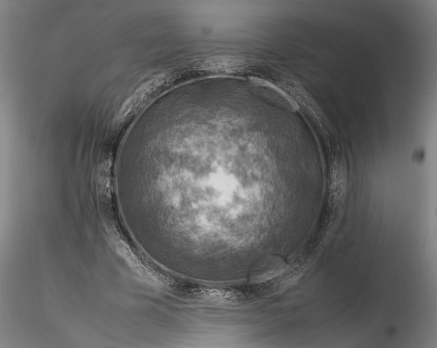 X0000116350585200912151353