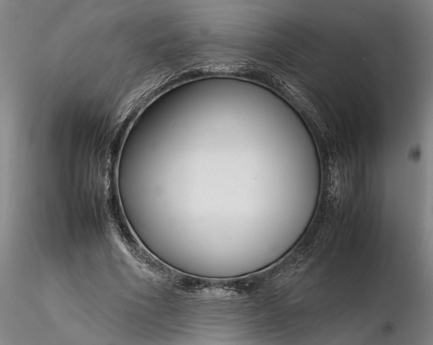 X0000116350586200912151353