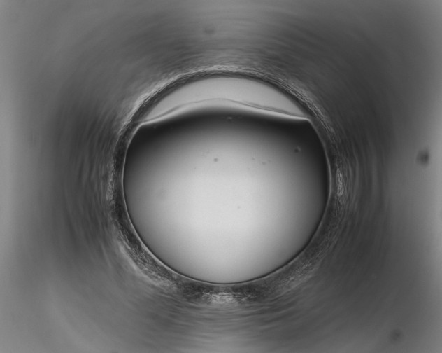 X0000116350588200912151353