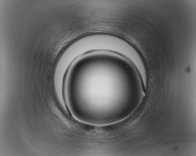 X0000116350589200912151353