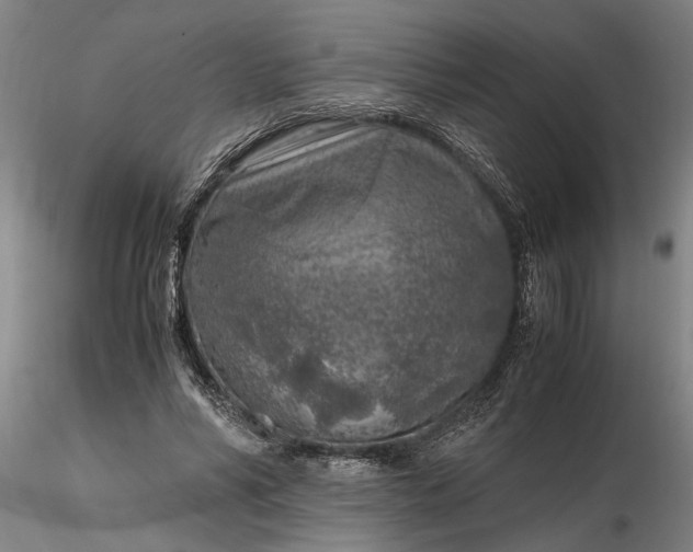 X0000116350590200912151353