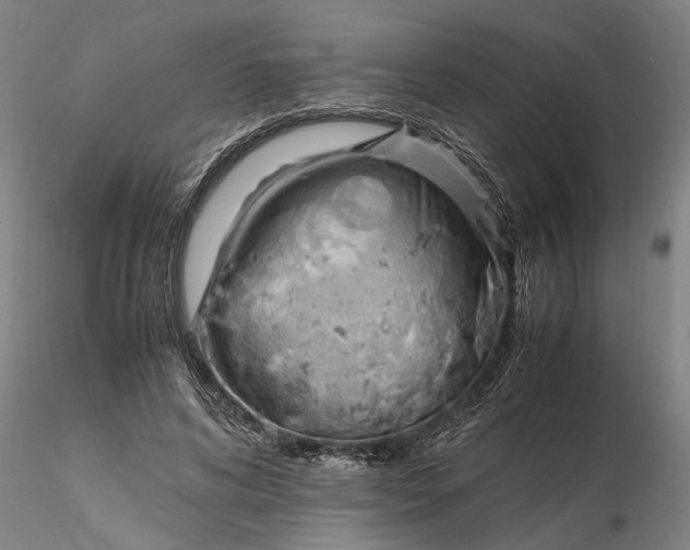 X0000116350592200912151353