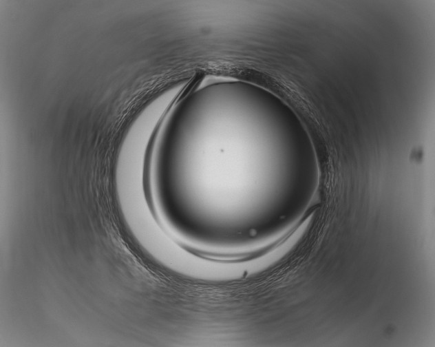 X0000116350593200912151353