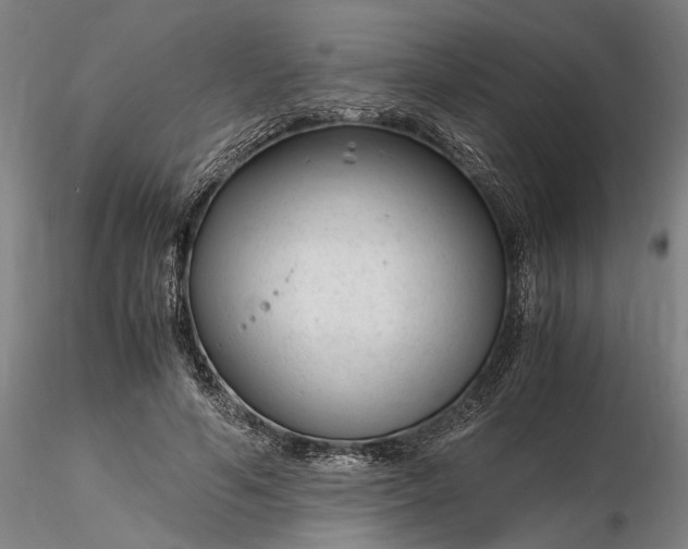 X0000116350594200912151353