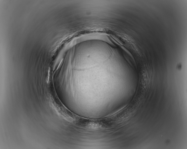 X0000116350596200912151353