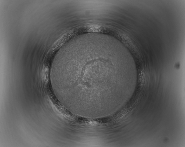 X0000116350598200912151353