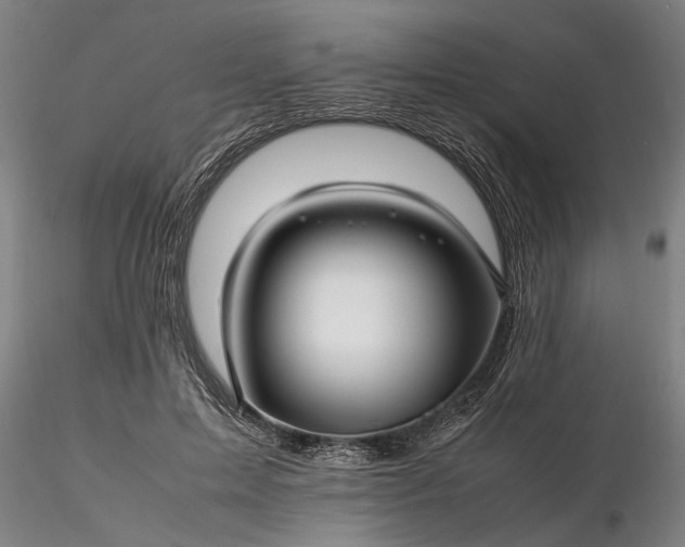 X0000116350599200912151353