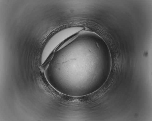 X0000116350600200912151353