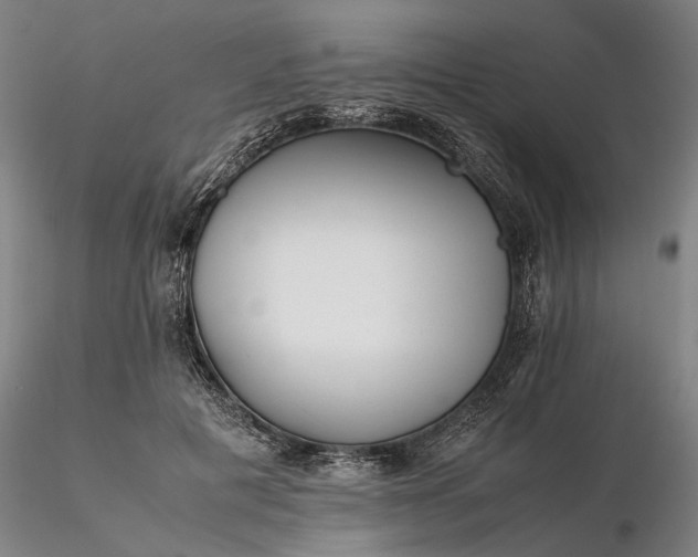 X0000116350601200912151353