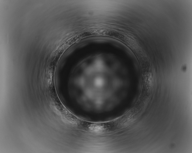 X0000116350602200912151353