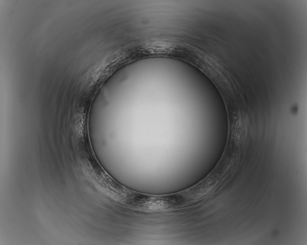 X0000116350604200912151353