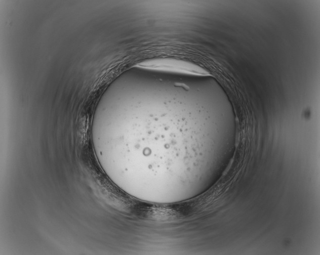 X0000116350605200912151353