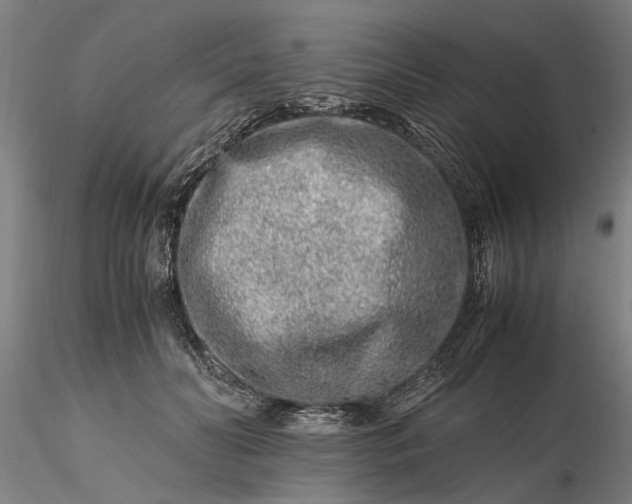 X0000116350606200912151353