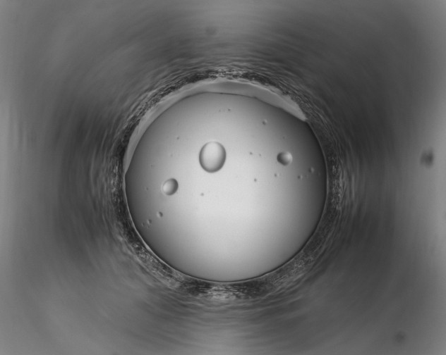 X0000116350608200912151353