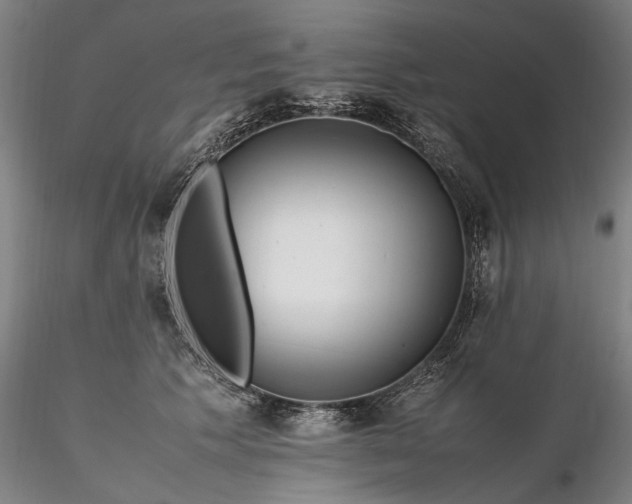 X0000116350609200912151353