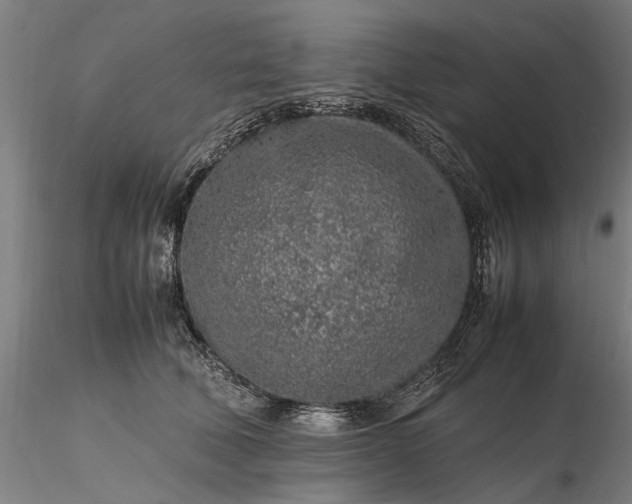 X0000116350610200912151353