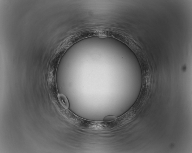 X0000116350611200912151353