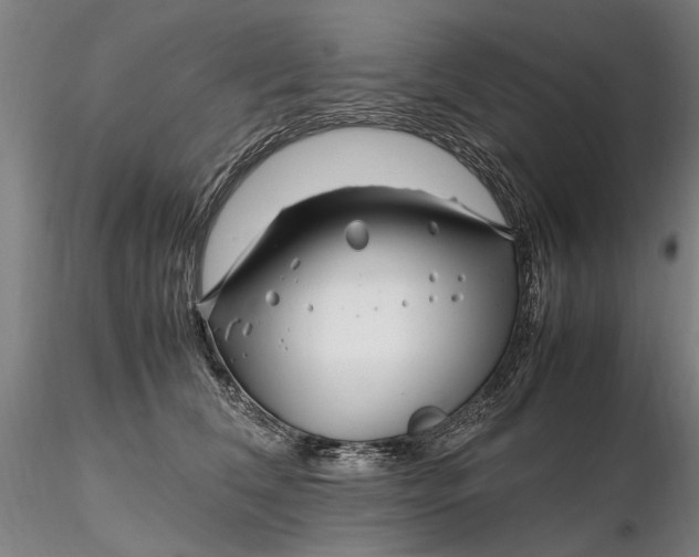 X0000116350612200912151353