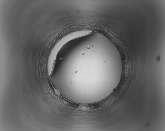 X0000116350613200912151353