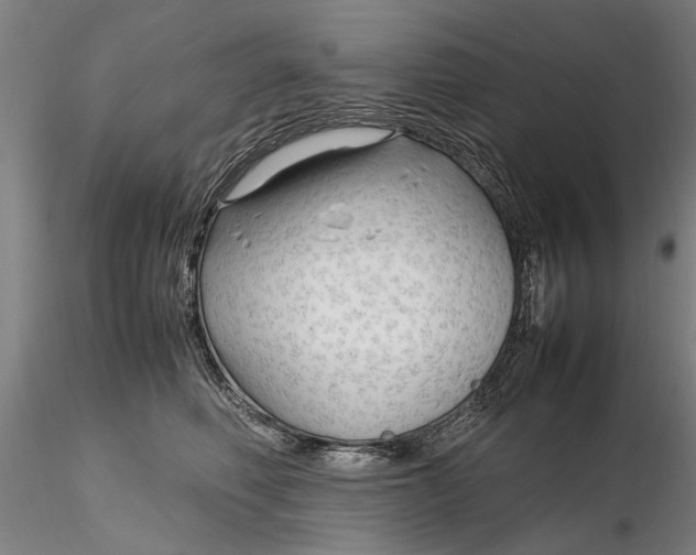 X0000116350614200912151353