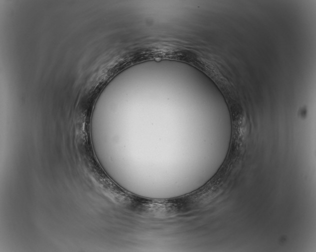 X0000116350615200912151353