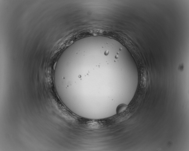 X0000116350616200912151353