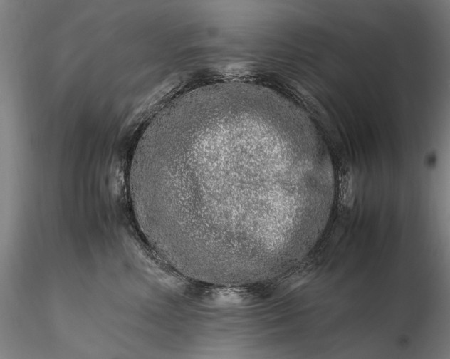 X0000116350618200912151353