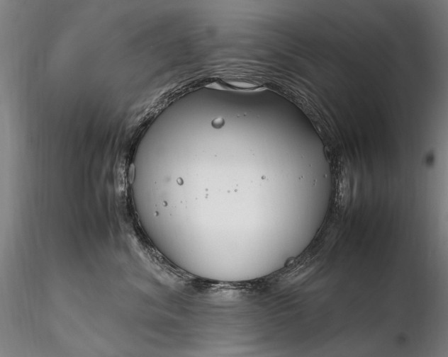 X0000116350620200912151353