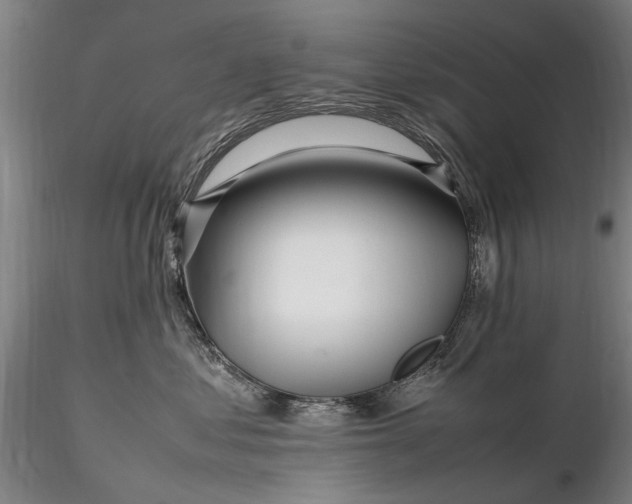 X0000116350621200912151353