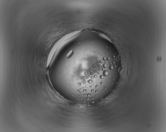 X0000116350624200912151353