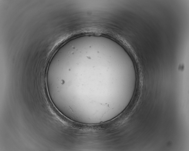 X0000116350625200912151352