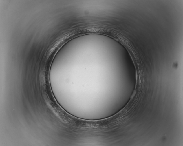 X0000116350626200912151352