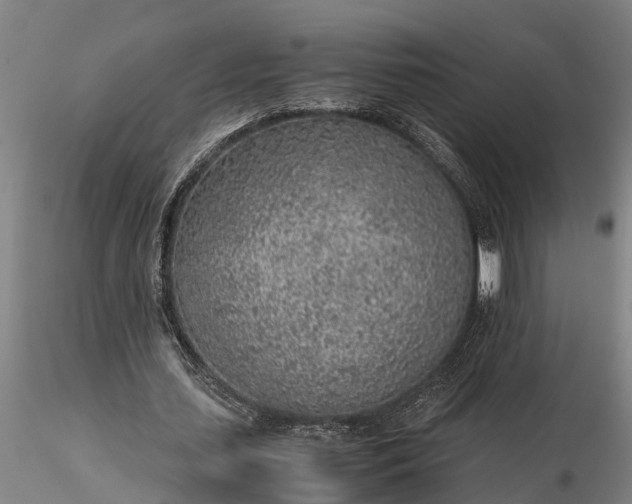 X0000116350627200912151352