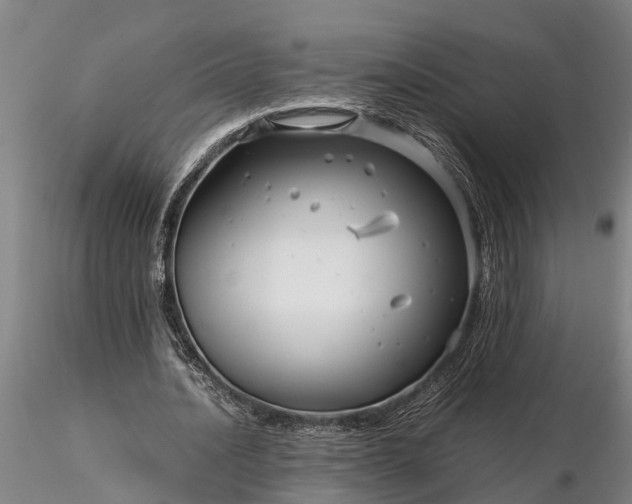 X0000116350628200912151352