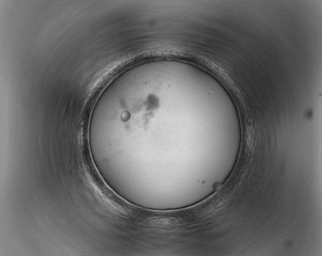 X0000116350629200912151352