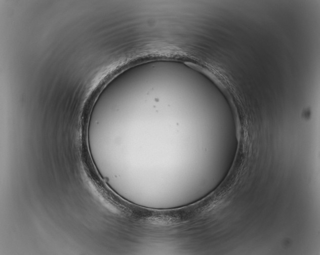 X0000116350630200912151352