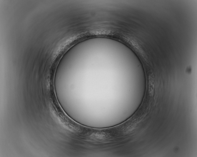 X0000116350631200912151352