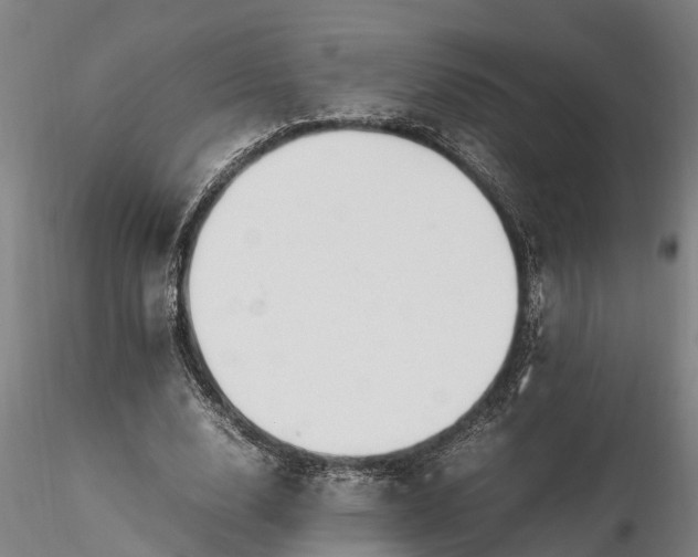 X0000116350632200912151352