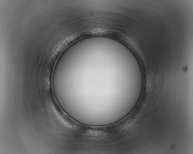 X0000116350633200912151352