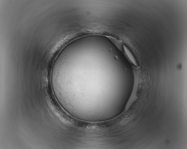 X0000116350634200912151352