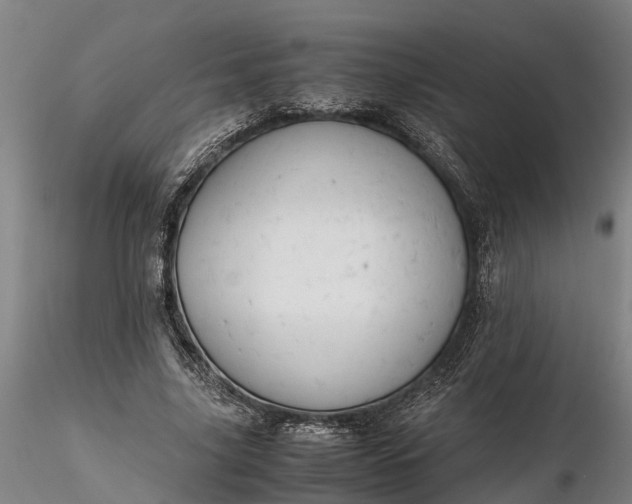 X0000116350635200912151352