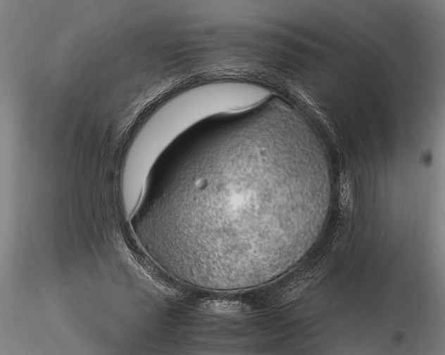 X0000116350637200912151352